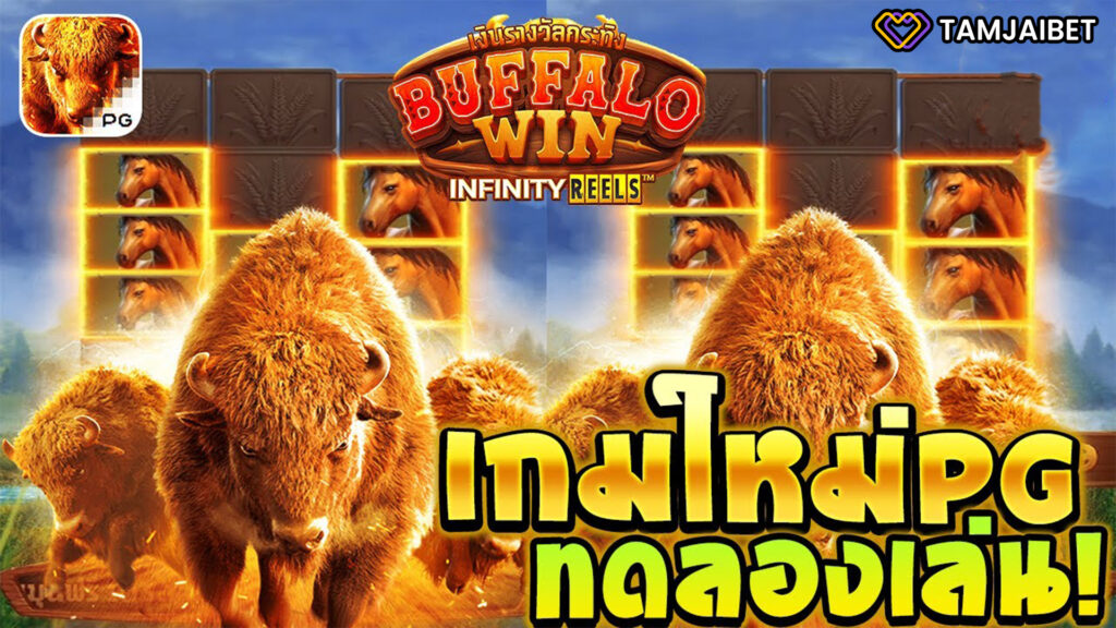 Buffalo Win ค้นหาความงามอันยิ่งใหญ่